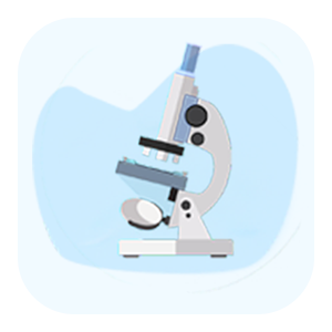 Biology Olympiad for Class 8 - School Connect Online